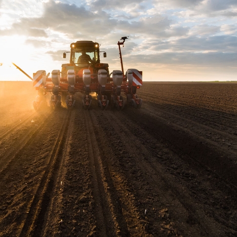 Tractor planting in the field with the sun shining down on it