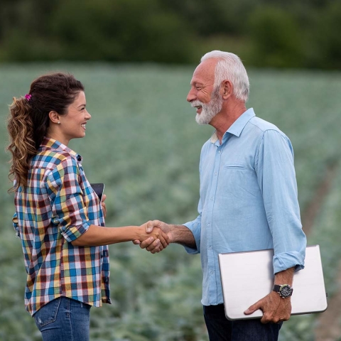 A woman and a man shake hands in a farm field