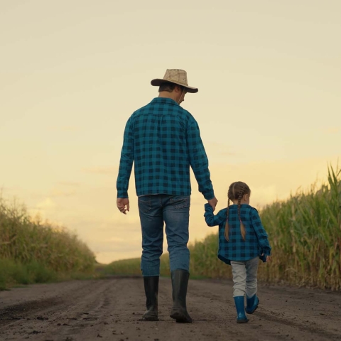 Dad and daughter look at their corn field