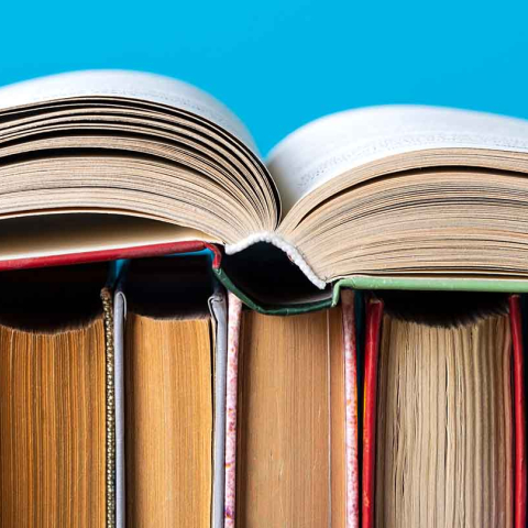 A row of books with an open book laying on top