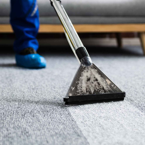 Professional carpet cleaning in progress using a hot water extraction wand on a gray carpet, with a technician wearing blue protective shoe covers visible in the background.