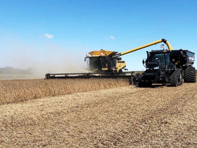 Soybean harvest