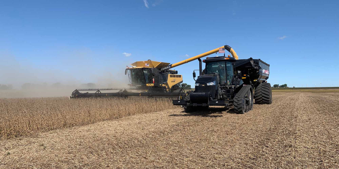 Harvesting soybeans in the field