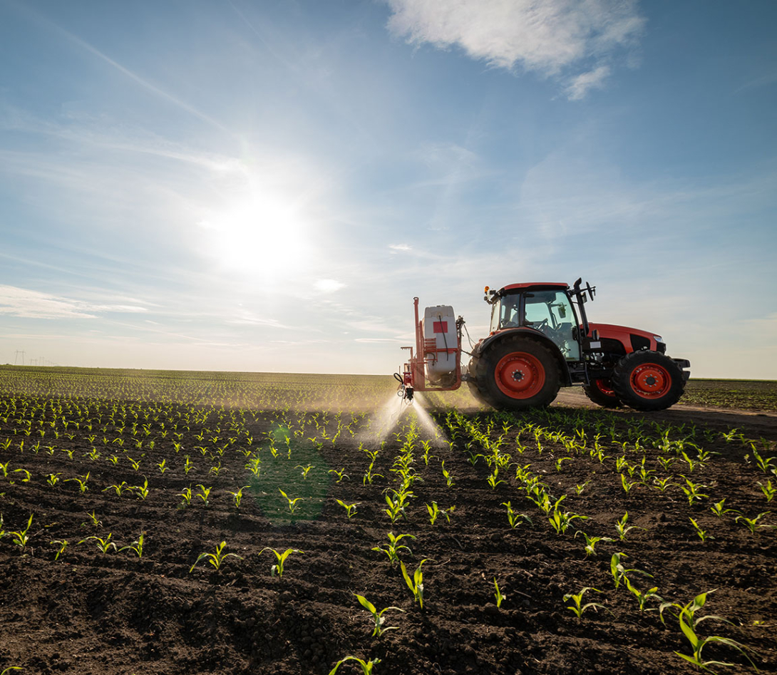 Tractor spraying young corn