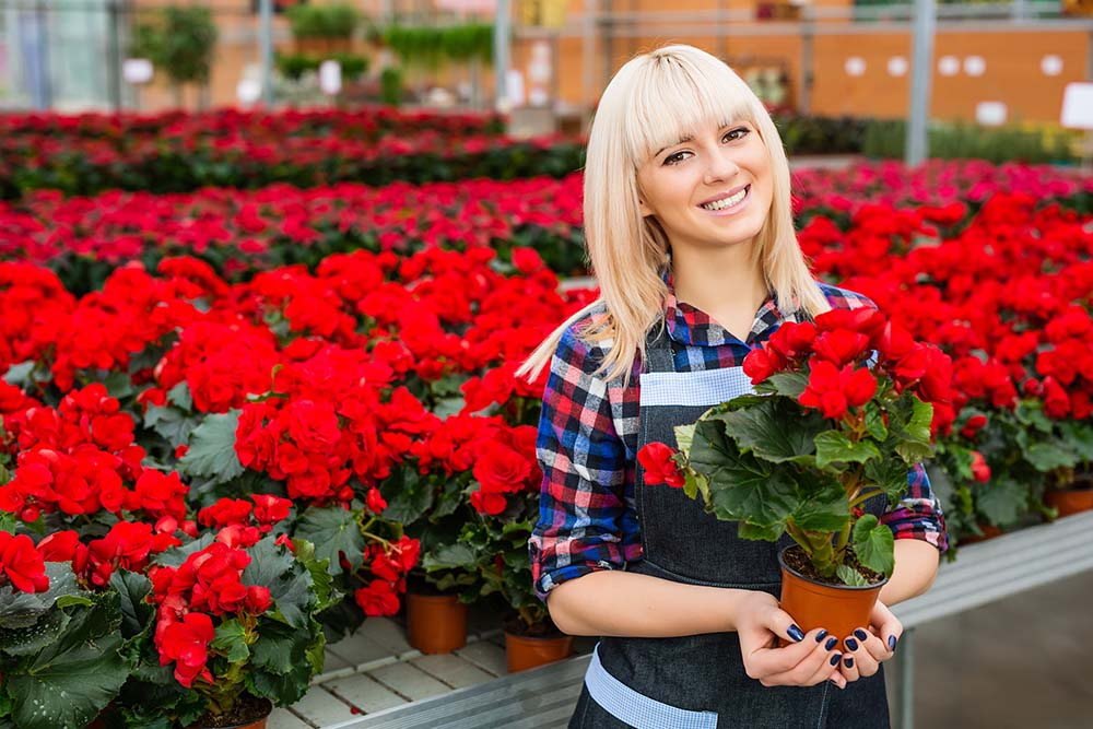 A florist holding red flowers