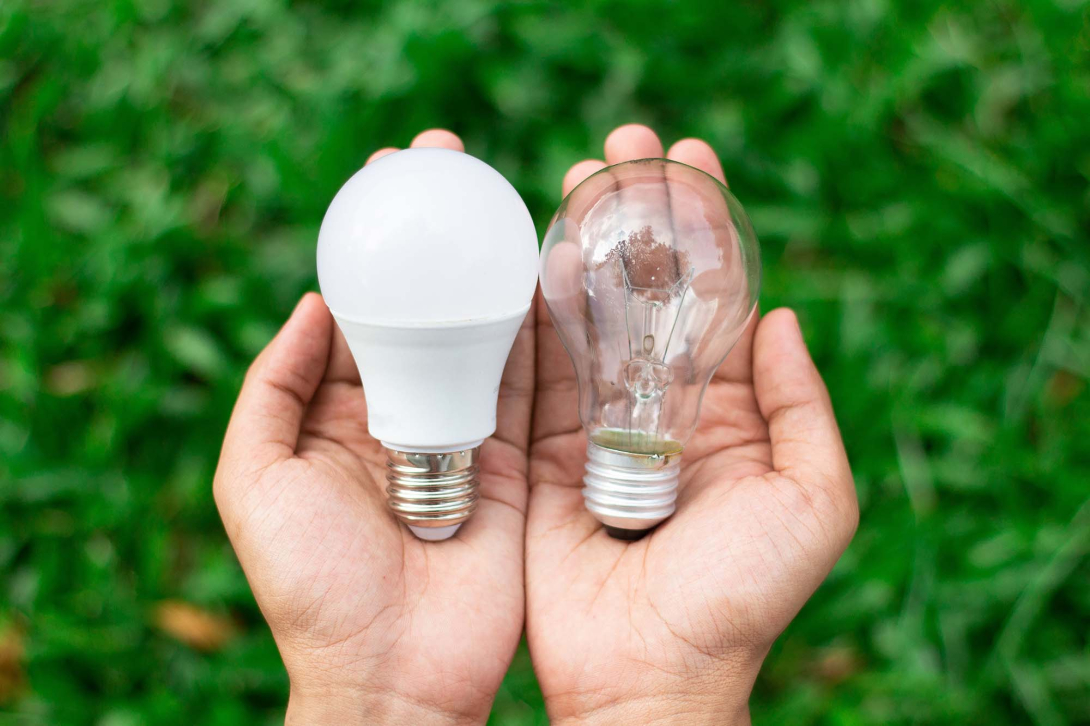 Hands holding lightbulbs