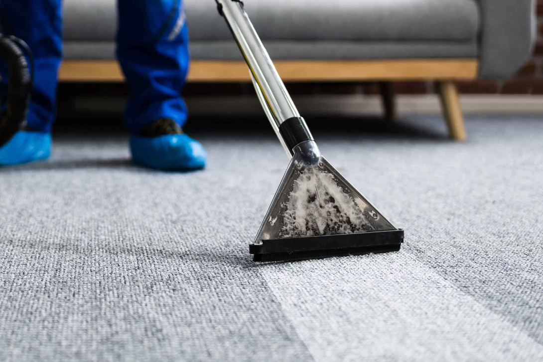 Professional carpet cleaning in progress using a hot water extraction wand on a gray carpet, with a technician wearing blue protective shoe covers visible in the background.